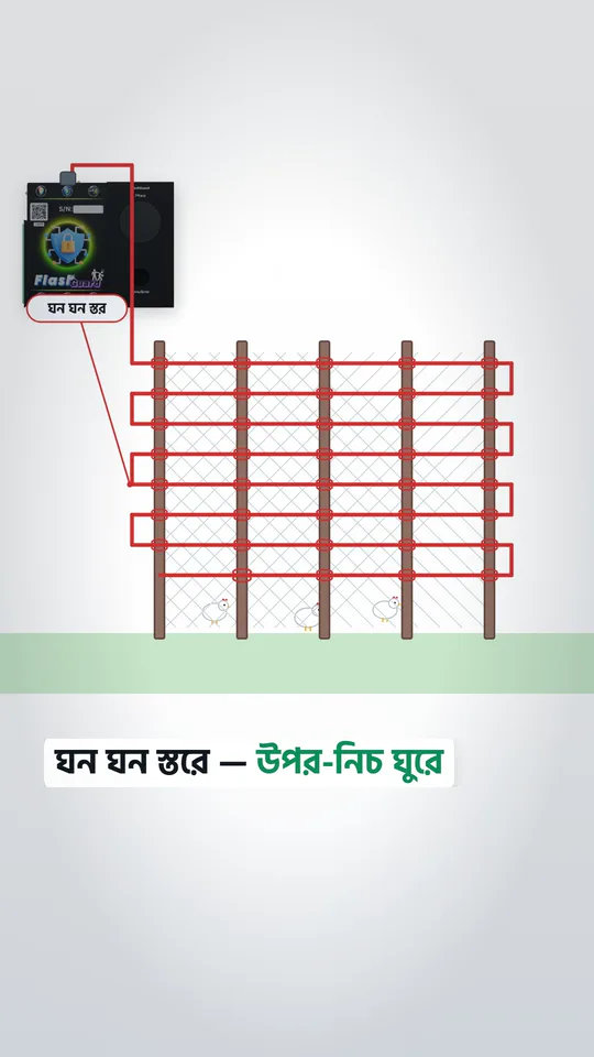 খামারের চারপাশ ও বাউন্ডারি দেয়াল